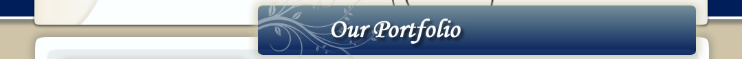 Our Portfolio